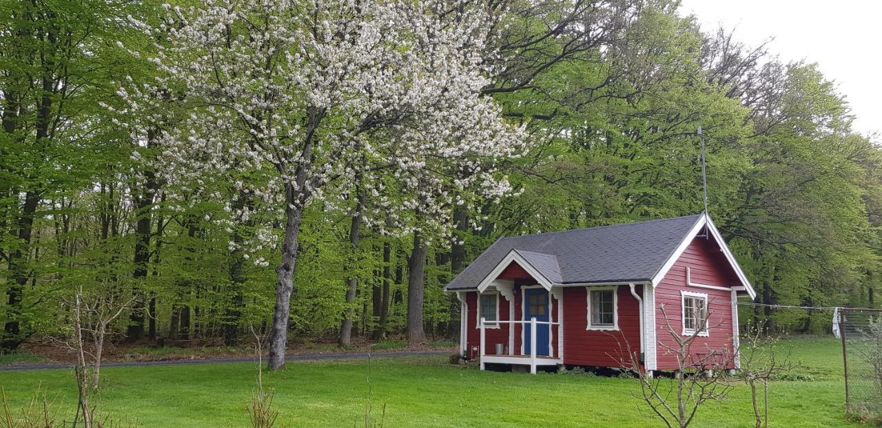 Lill Hagahus, Soederasens Nationalpark Villa Kågeröd Bagian luar foto